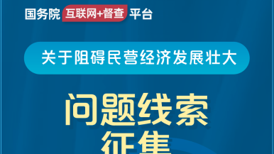 xxxx肏逼网站国务院“互联网+督查”平台公开征集阻碍民营经济发展壮大问题线索